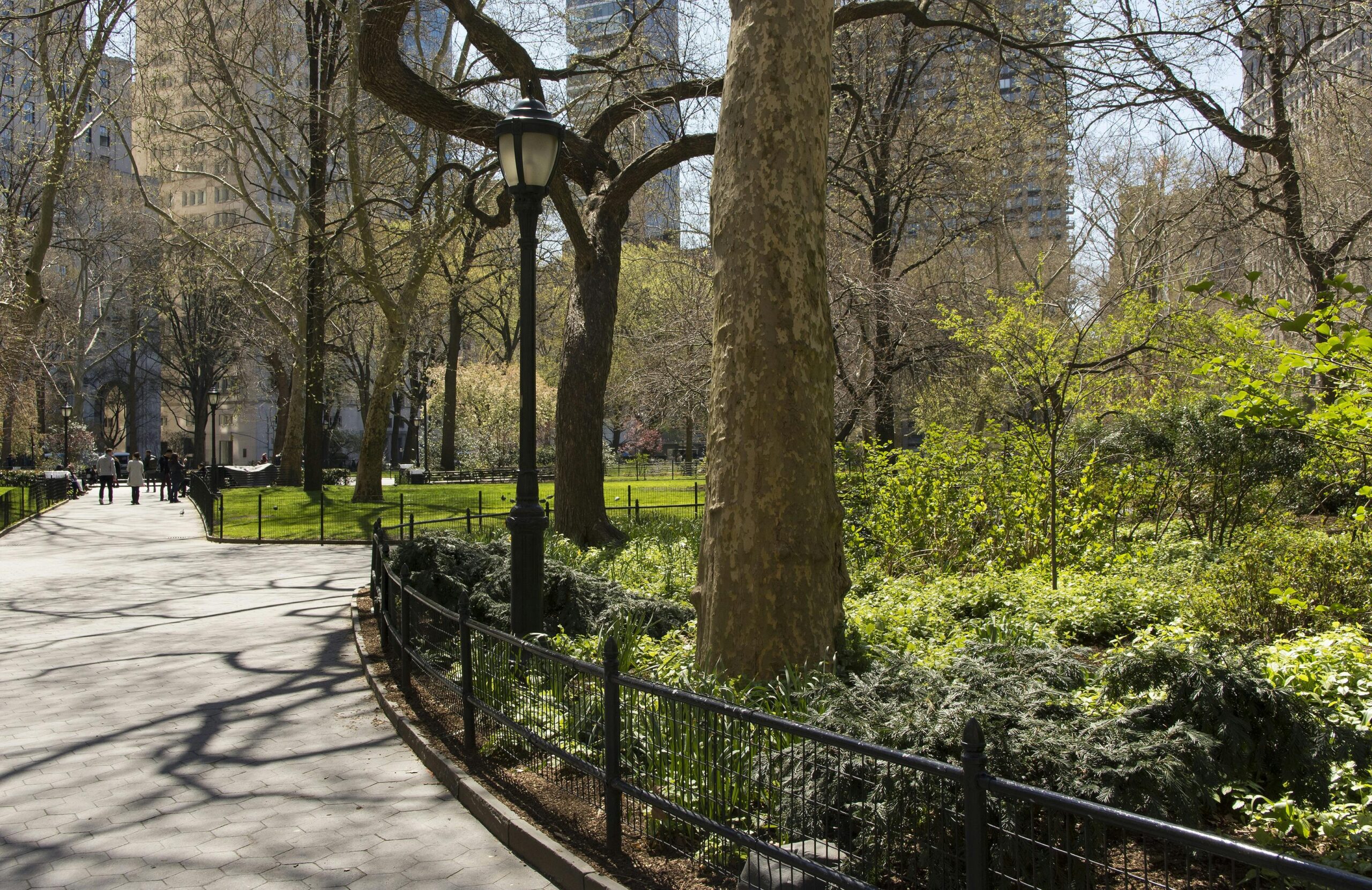 image of central park, an iconic filming location in New York City