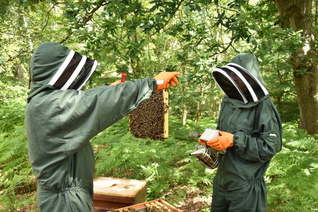 Image of two beekeepers at a beehive on Furzedown Farm