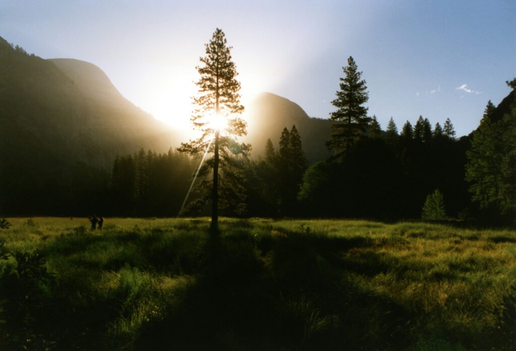 image showing the sun setting over a forest, location for wildlife filming