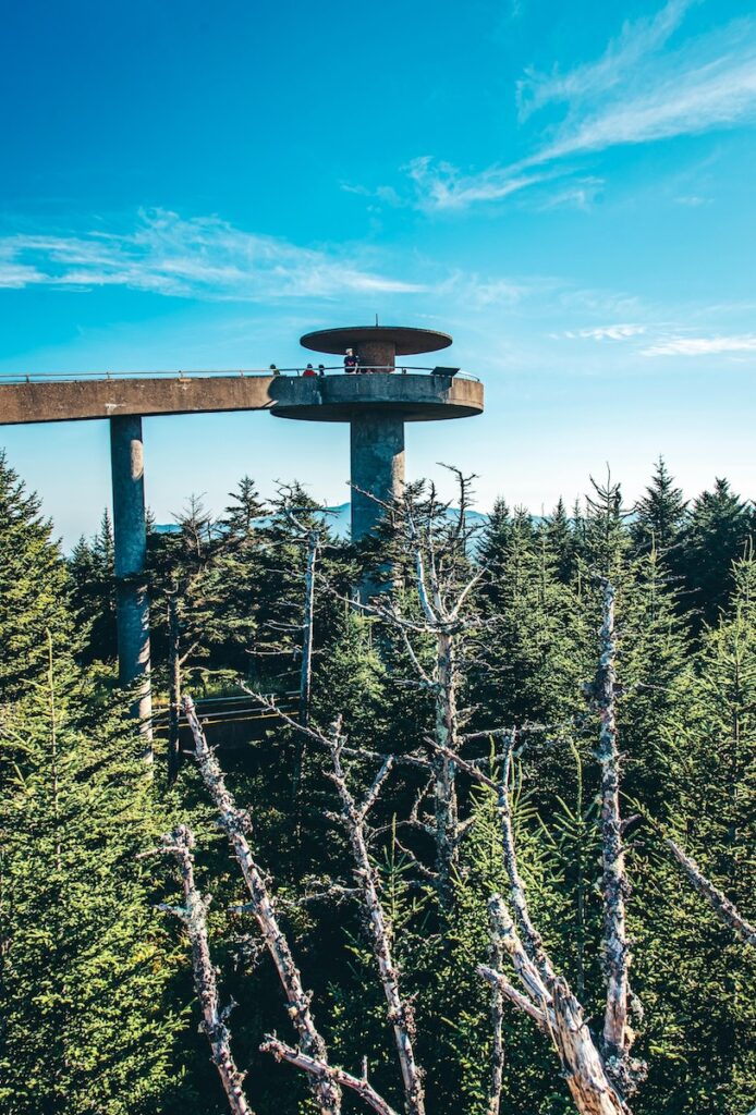 image of a concrete platform above the trees in a forest