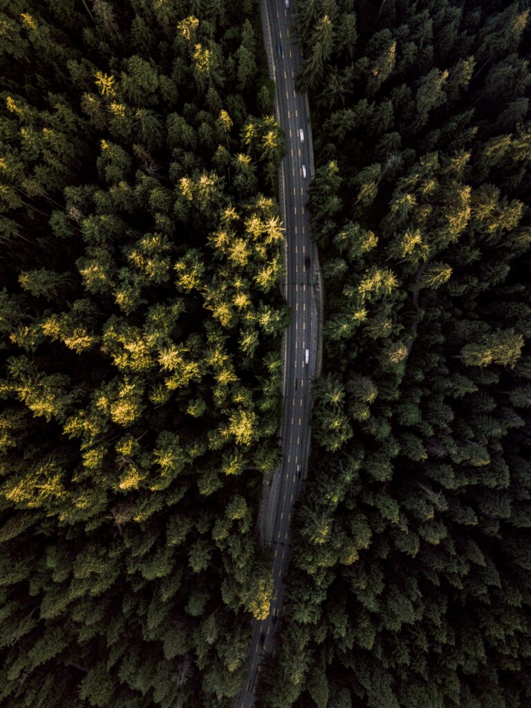 Birds Eye view of a road running through a woodland filming location