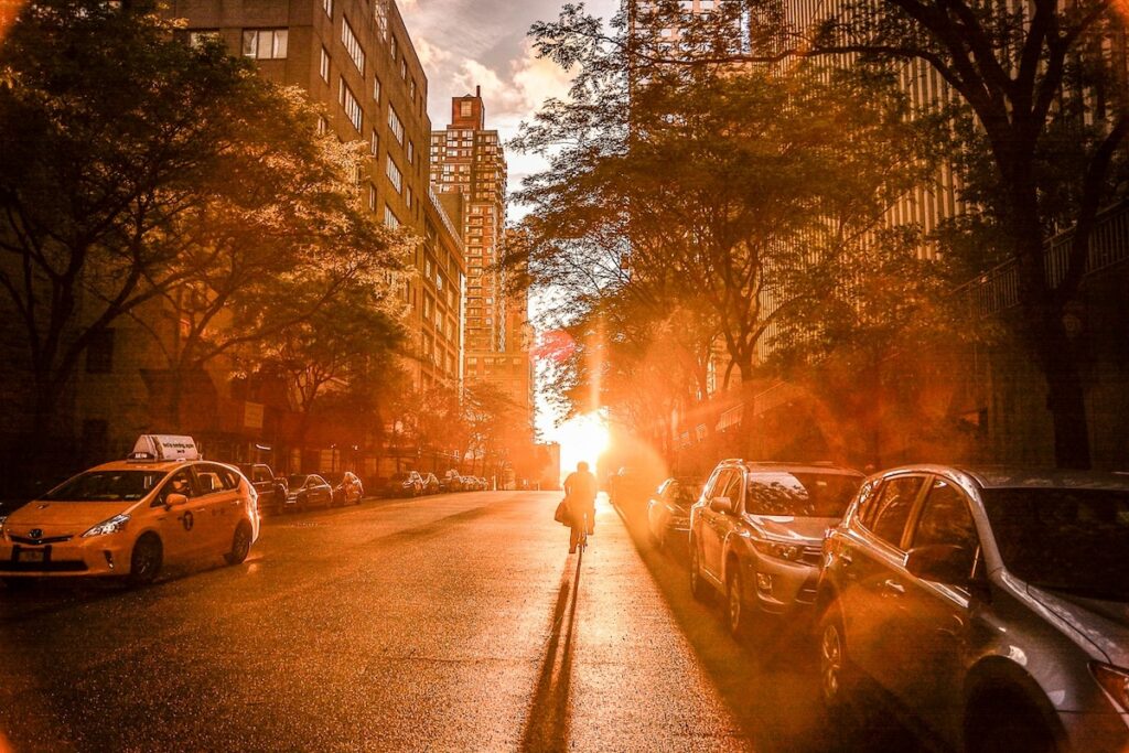view of sun setting behind a cyclist riding down a tree-lined city street