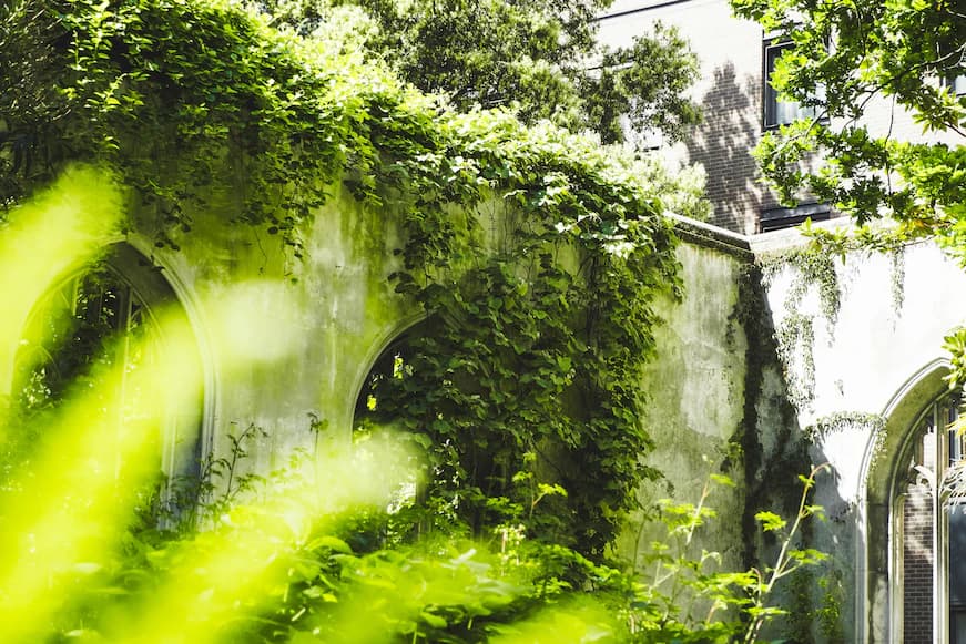free filming locations in London - city garden in St Dunstan-in-the-East