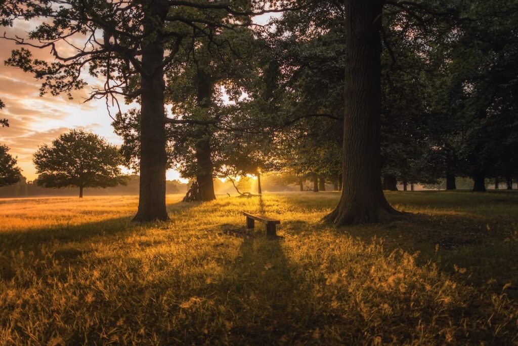 Free filming locations in London - Richmond Park at sunset