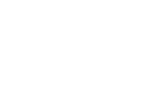 rochester film office logo